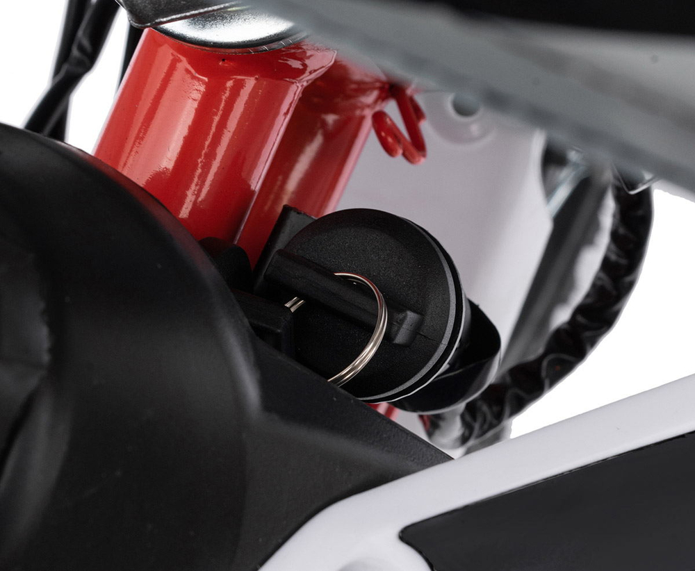 Мотоцикл REGULMOTO Pilot 110EA 12/10 PITBIKE