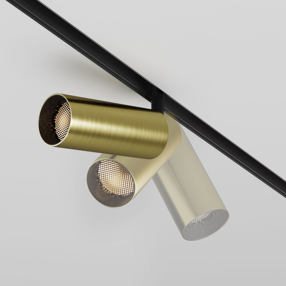 Трековый светильник светодиодный Maytoni Exility   TR032-2-12W3K-M-BBS