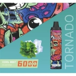 RANDM Tornado - Cool Mint (6000)