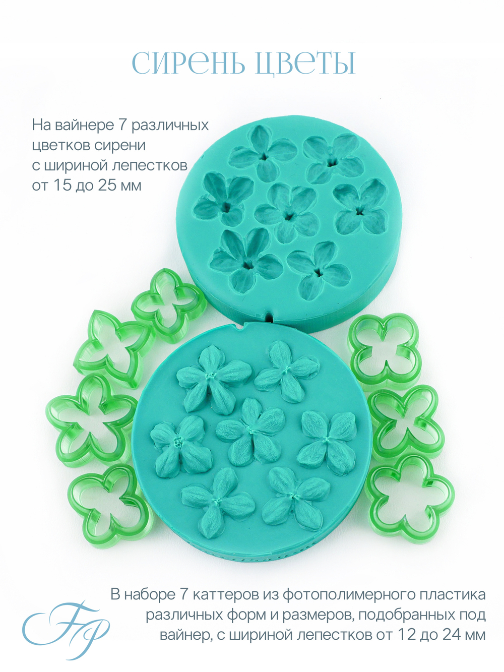 Сирень цветы