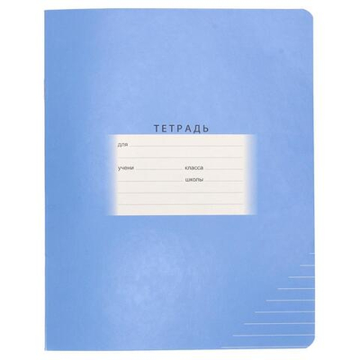 Тетрадь А5 24л. лин. "Школьная" в ассорт. (BG)