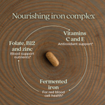 New Chapter, Комплекс ферментированного железа, 90 вегетарианских таблеток