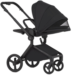 Детская коляска Anex Flo 2 в 1 Lungo