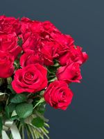 Розы 51 шт