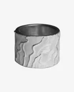 Кольцо Флюгера Марсала