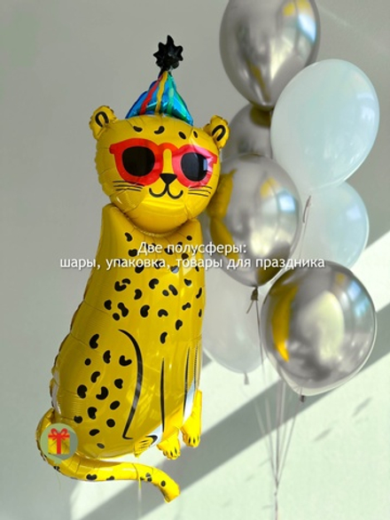 Набор Стильный кот