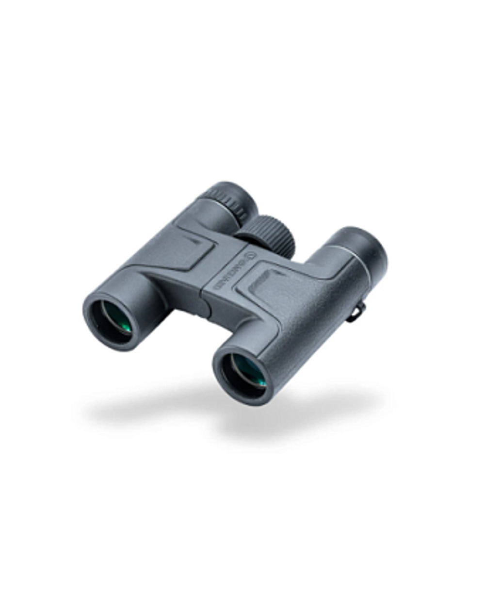 Бинокль Vanguard VESTA 10x25