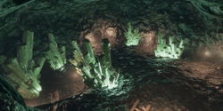 Ex Natura: Nature Corrupted (для ПК, цифровой код доступа)