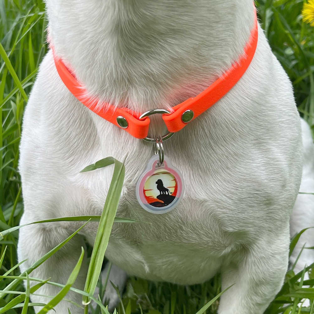 Ошейник для адресника Doglea
