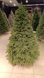 Ель искусственная «Дворянская» (Литая хвоя) от 1,5 м до 2,7 м