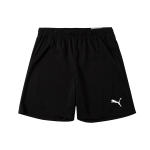 Шорты PUMA Logo, 704942-04