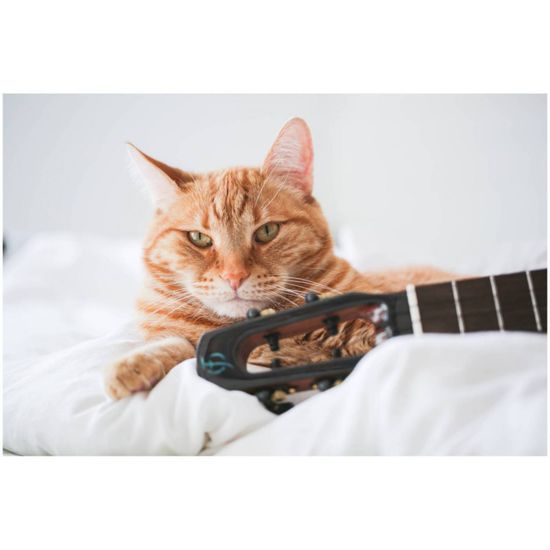 FLIGHT NIGHTHAWK TENOR EQ-A - Укулеле тенор