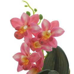 GAEM Цветочная композиция "Орхидея", L12,5 W11 H26 см