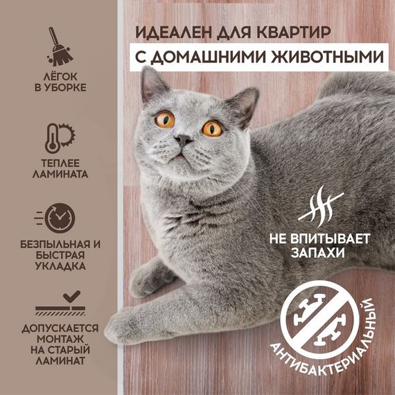 SPC ламинат I-Floors High - Дуб Дейнтри