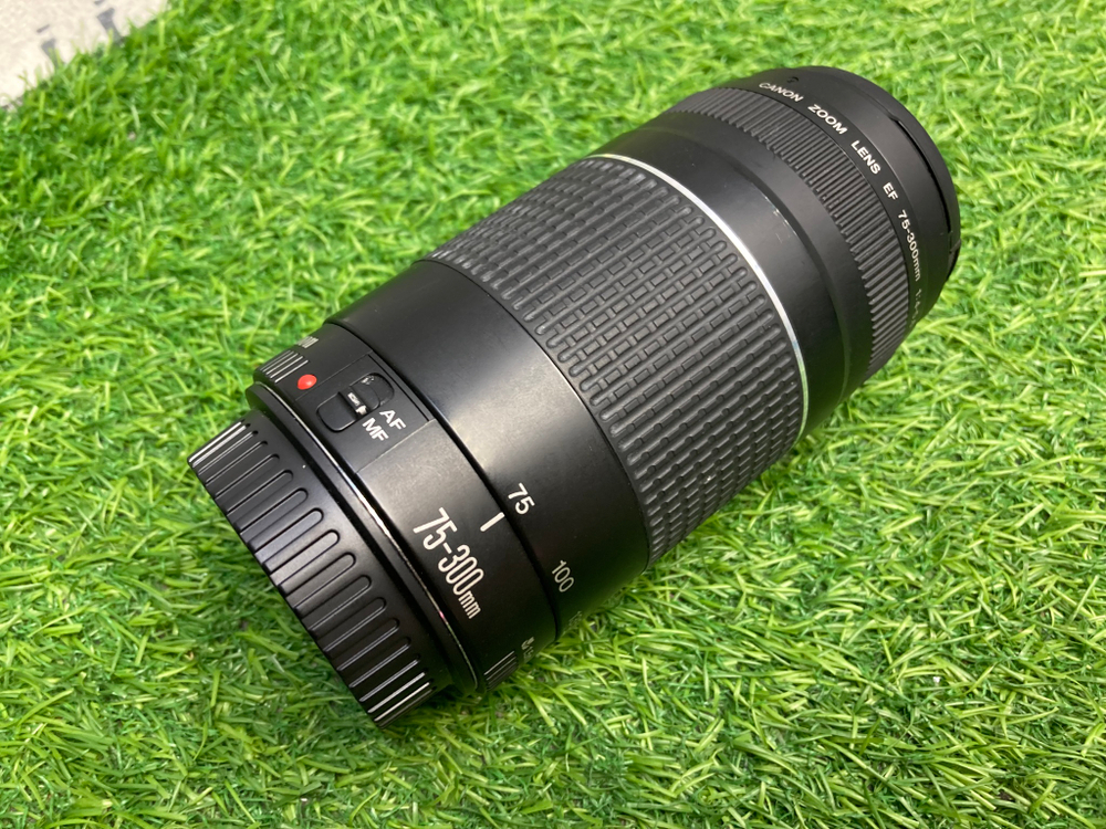 Canon EF 75-300mm 4-5.6 III
