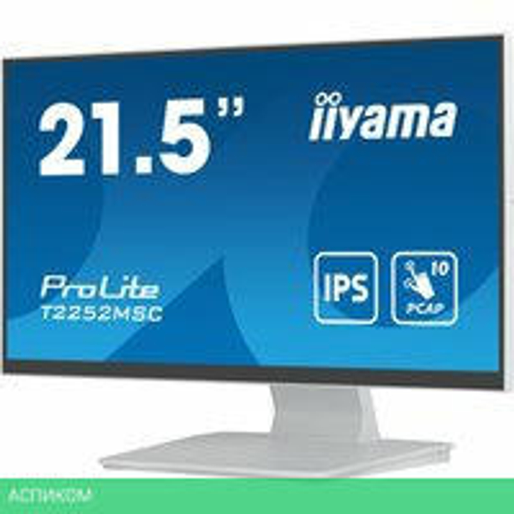 Монитор Iiyama ProLite T2252MSC-W2