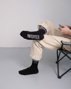 Носки ANTEATER Black-Logo