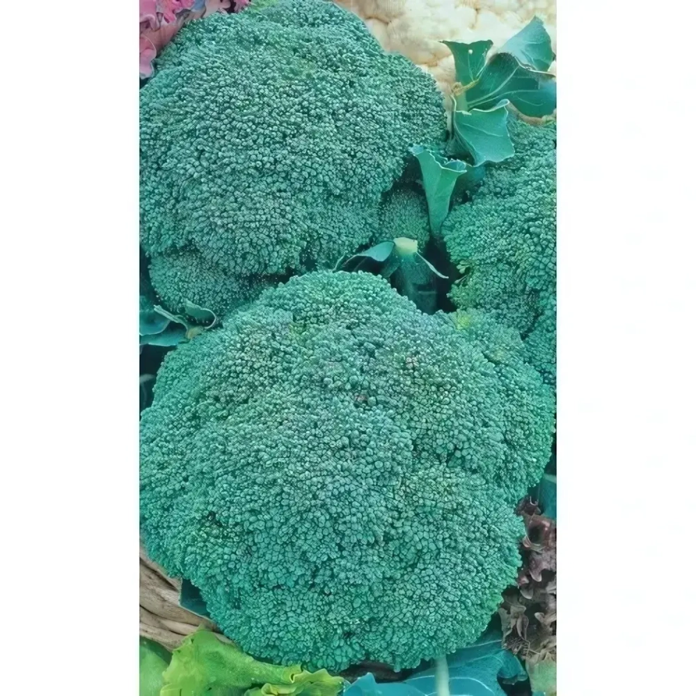 Семена Капуста брокколи Изумрудное волшебство (УД) 0,25гр Е/П