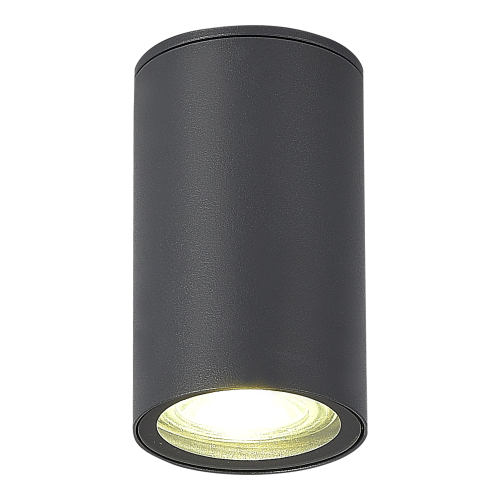 SL9010.712.01 Светильник уличный потолочный ST-Luce серый/белый GU10 1*50W