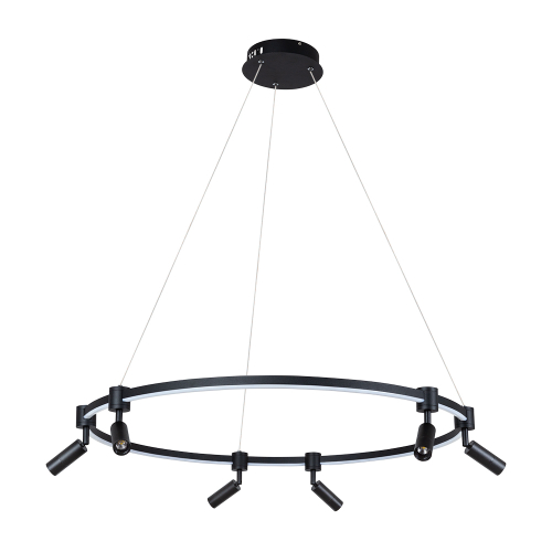 Подвесная светодиодная люстра Arte Lamp RING A2186SP-1BK