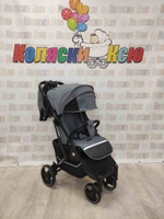 Коляска прогулочная Baballo Future 2024 серая (чёрная рама)