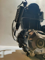 Двигатель 250см3 172FMM (с балансирующим валом) масл.рад.