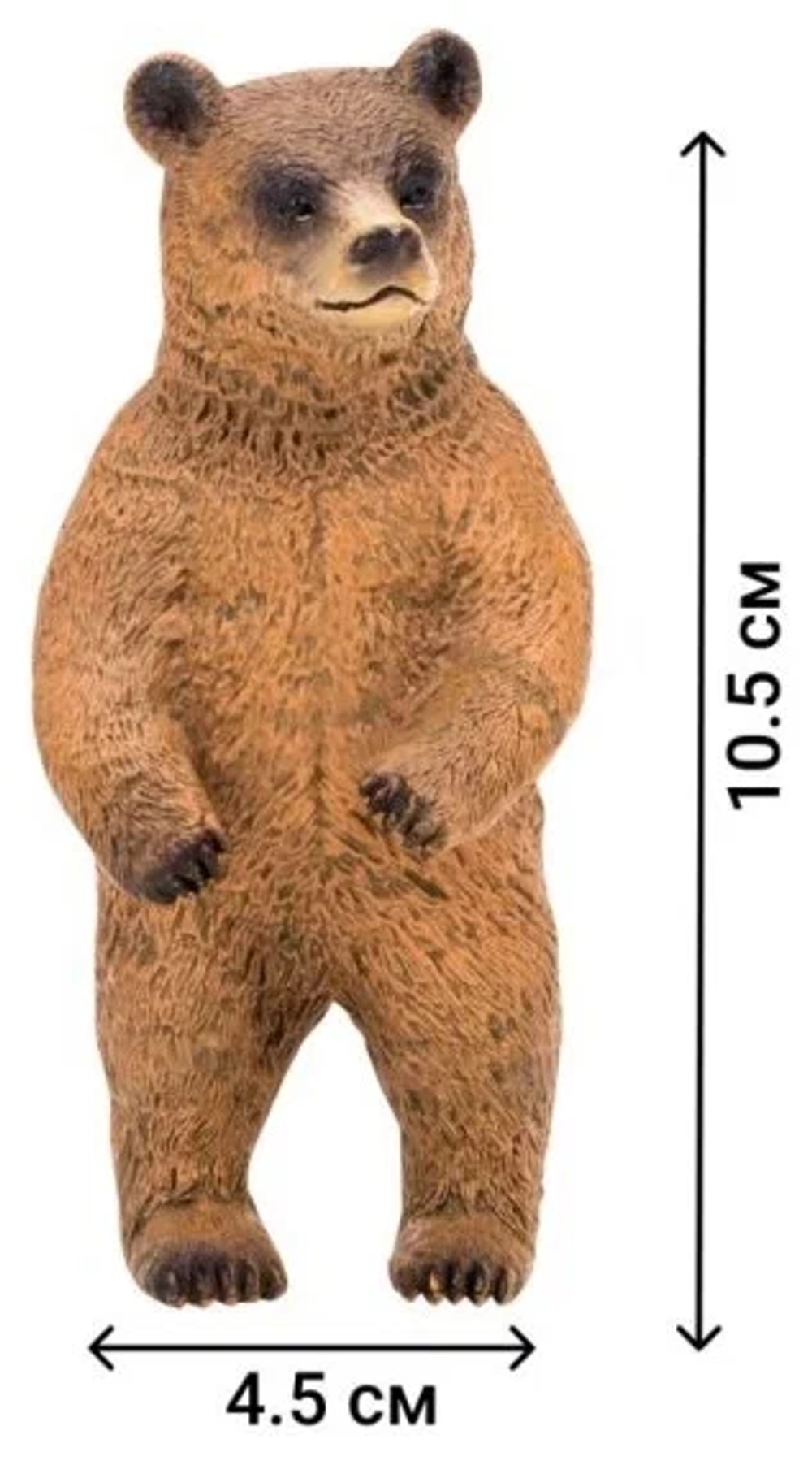 Мир диких животных Семья медведей