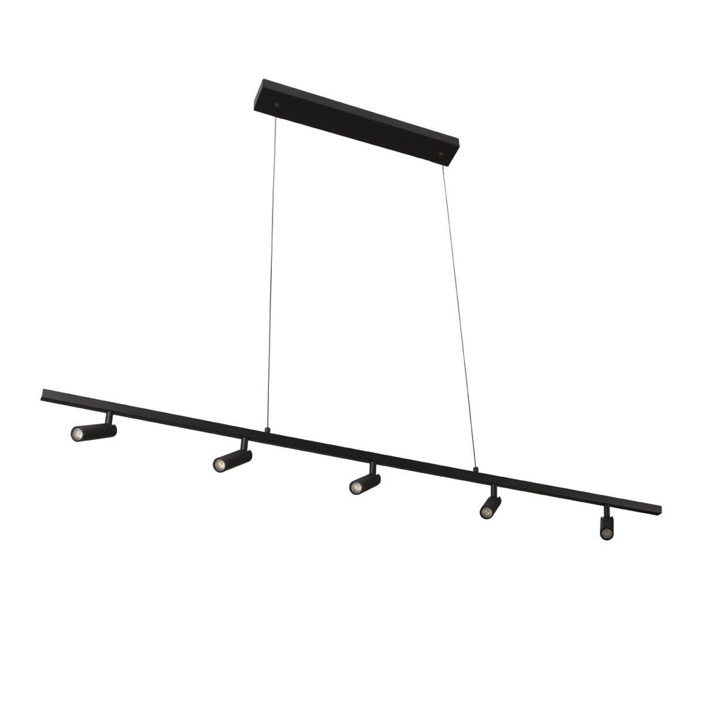 Подвесной светодиодный светильник Loft It Sign 10260/5 Black