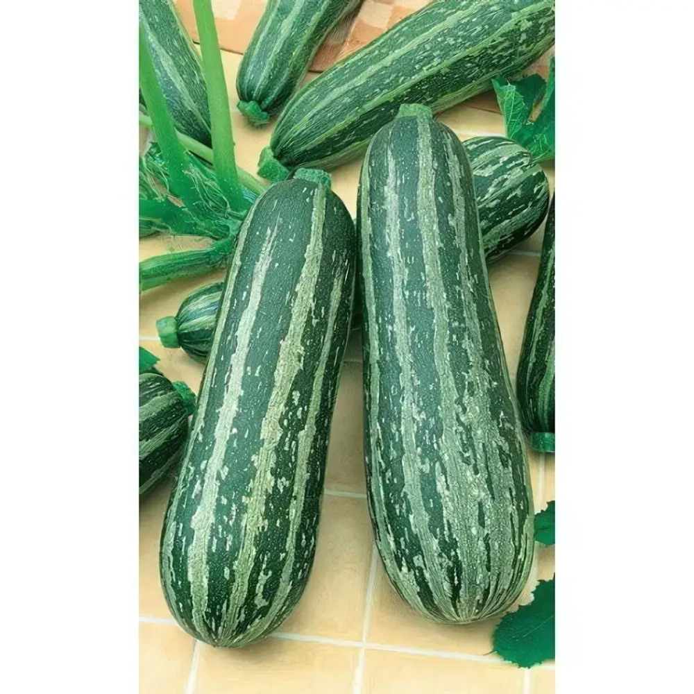 Семена Кабачок Зебра - цуккини (Марс) 2гр Б/П