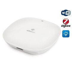 Блок управления (шлюз) HOMMYN Hub HH-01