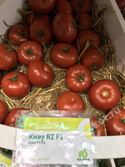 Киву F1 семена томата индетерминантного – фото 4