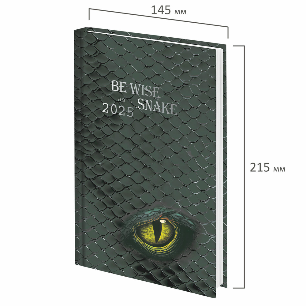 Ежедневник датированный 2025 145х215 мм А5 STAFF ламинированная обложка "Snake" (4 штуки в упаковке)
