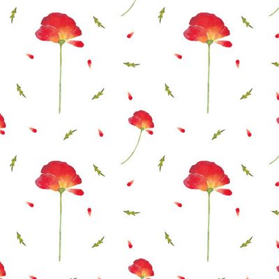 Красные маки на белом фоне