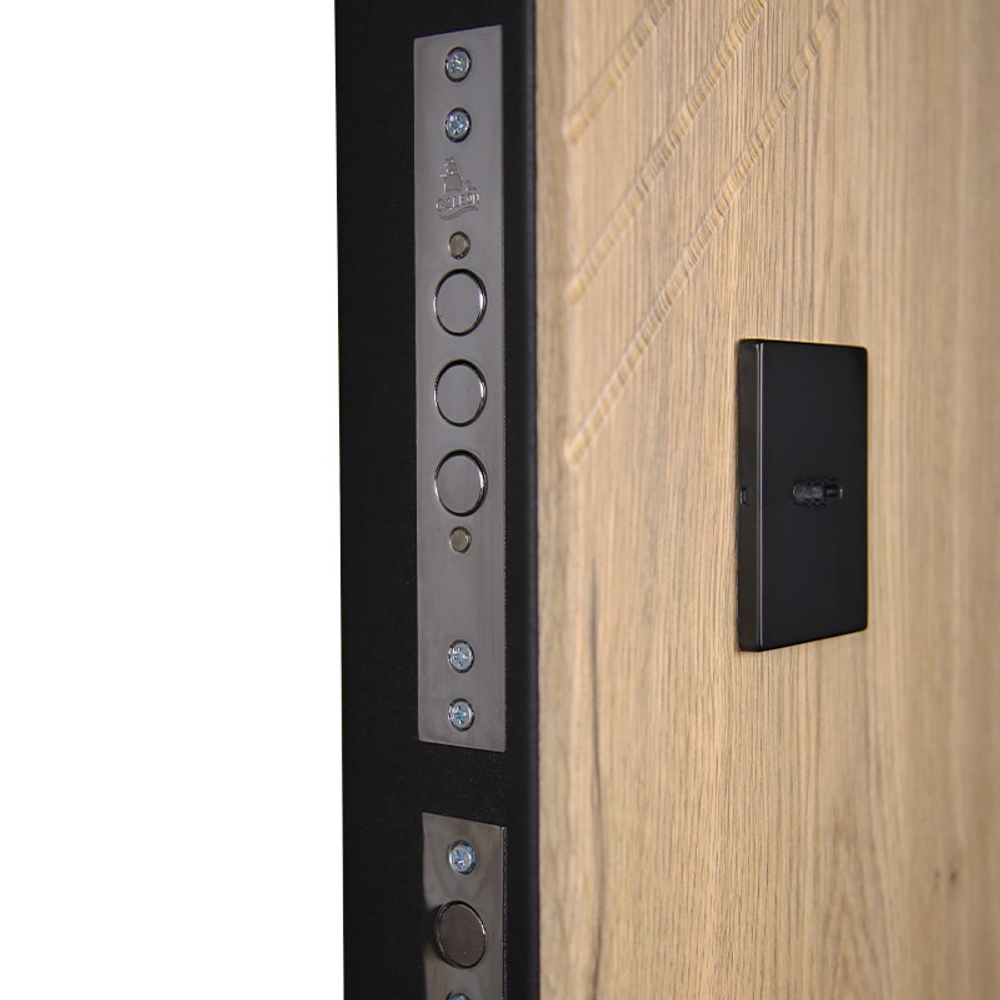 Стальная дверь "Эдинбург" с зеркалом (биометрический замок)