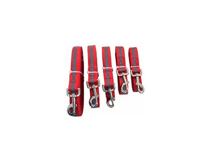 ДАРЭЛЕНД ЧИП Поводок из стропы со светоотражающей лентой для собак 25 мм