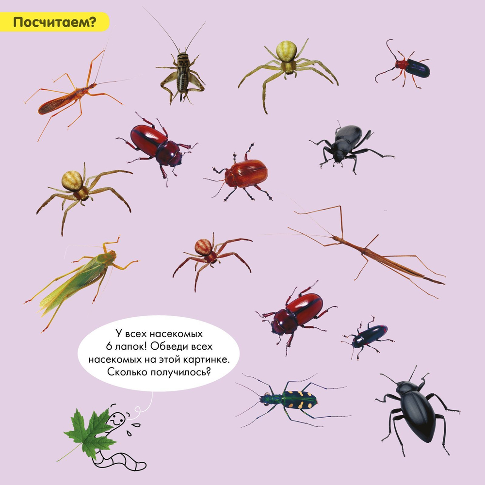 Суперзнатоки. Учение-развлечение. Блокнот с весёлыми развивающими играми. 5-6 лет