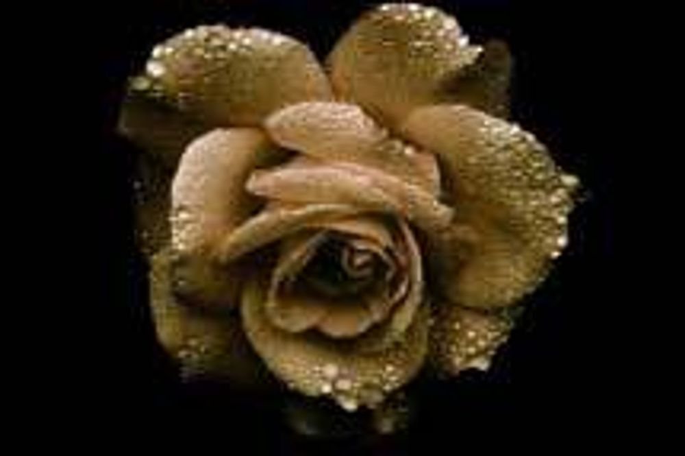 Sarah Horowitz Parfums Rose Gold