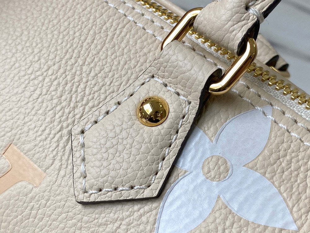 Louis Vuitton Papillon BB
