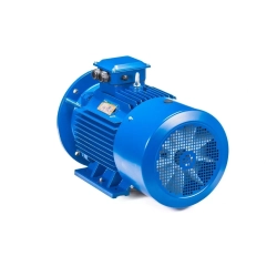 Электродвигатель 5АИ 180 S2 22/3000 IM2001