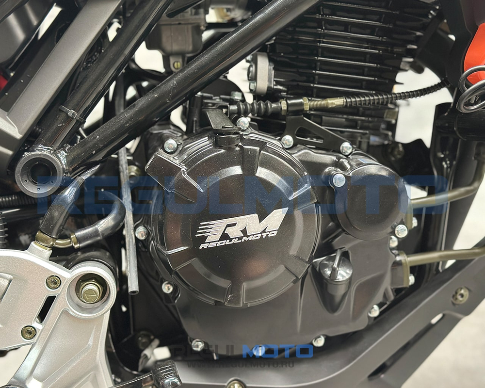 Мотоцикл Regulmoto Nibbler