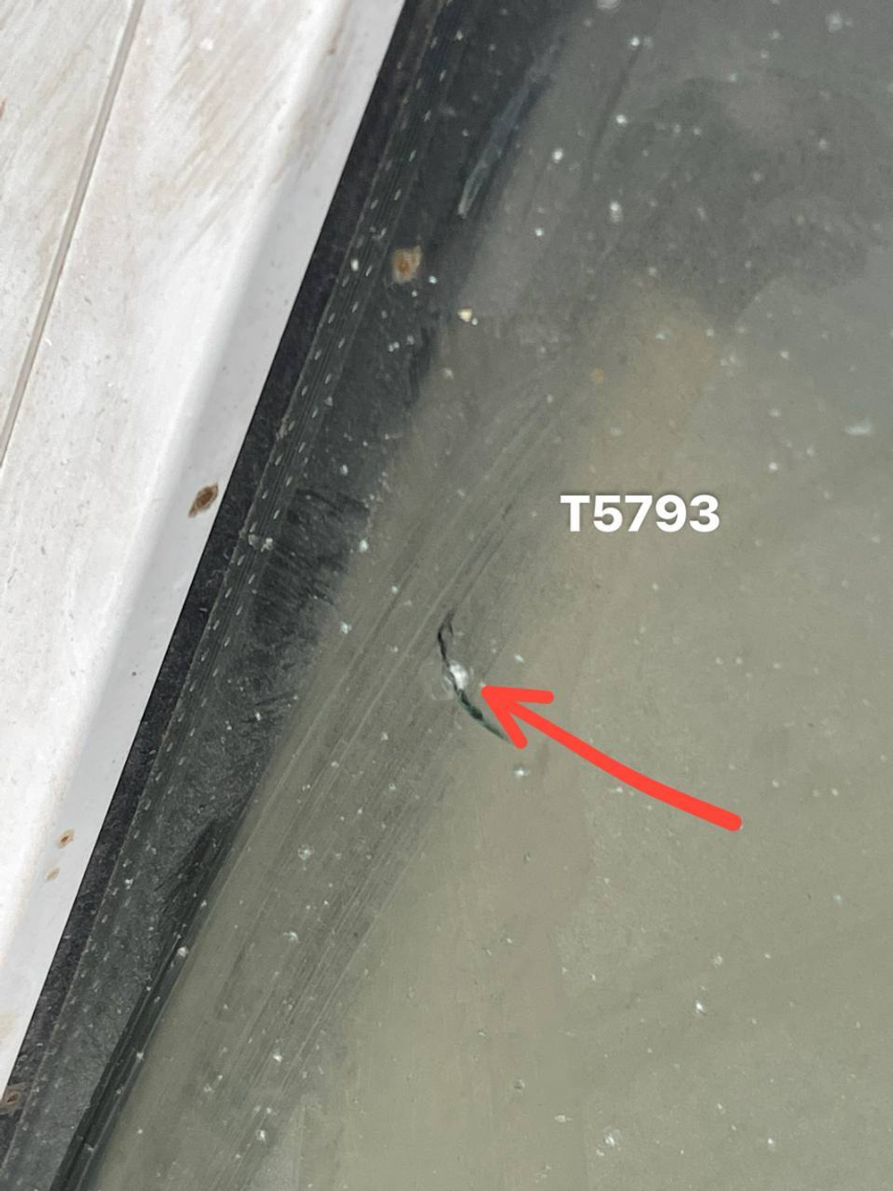 Створка Пластиковая Б/У 122(в) х 80(ш)