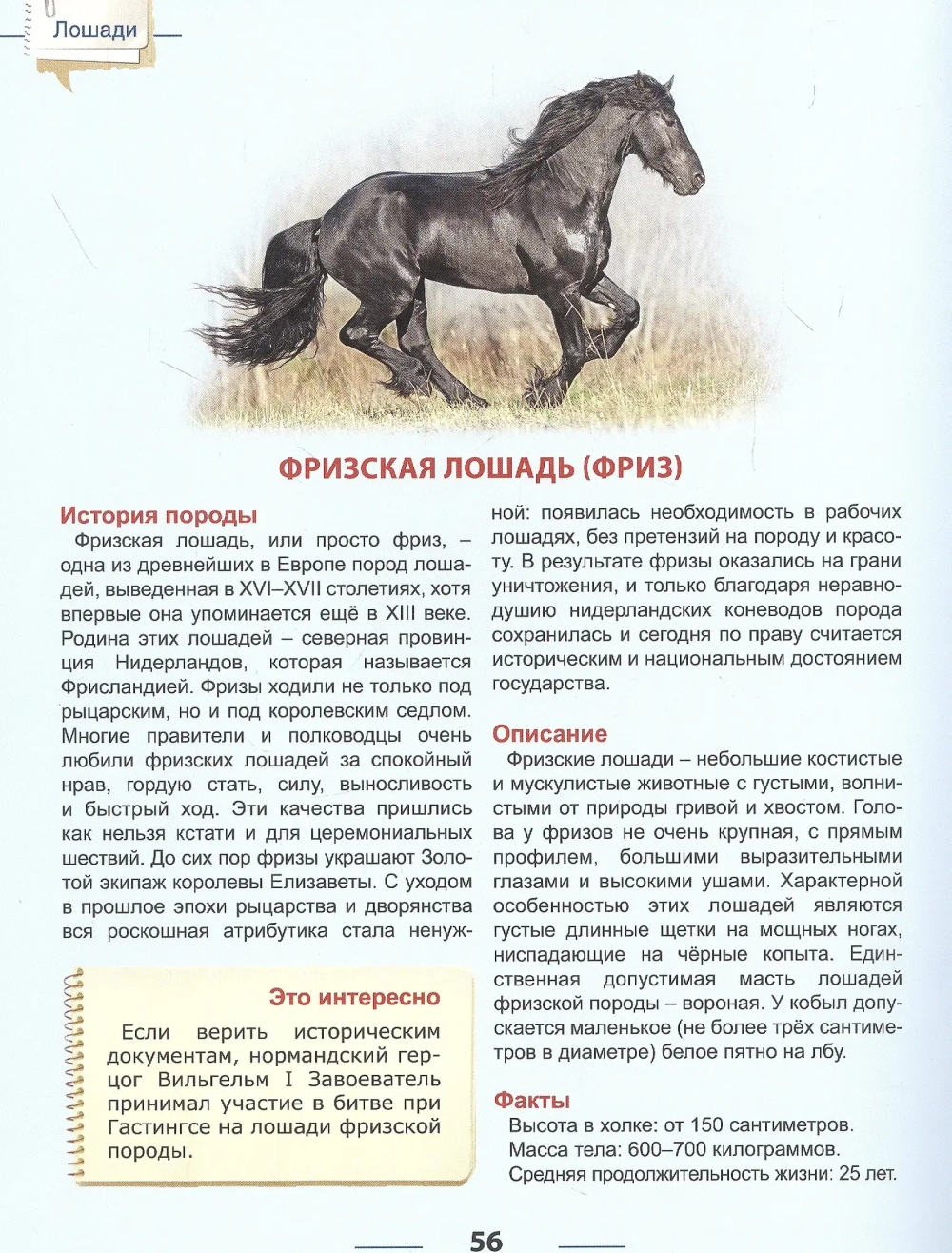 ЭНЦИКЛОПЕДИЯ ДЛЯ ДЕТЕЙ новые. ЛОШАДИ