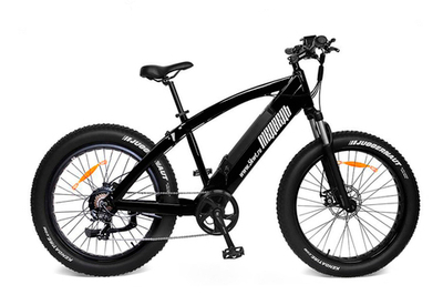 Электро-фэтбайк Медведь 2.0 HD 750