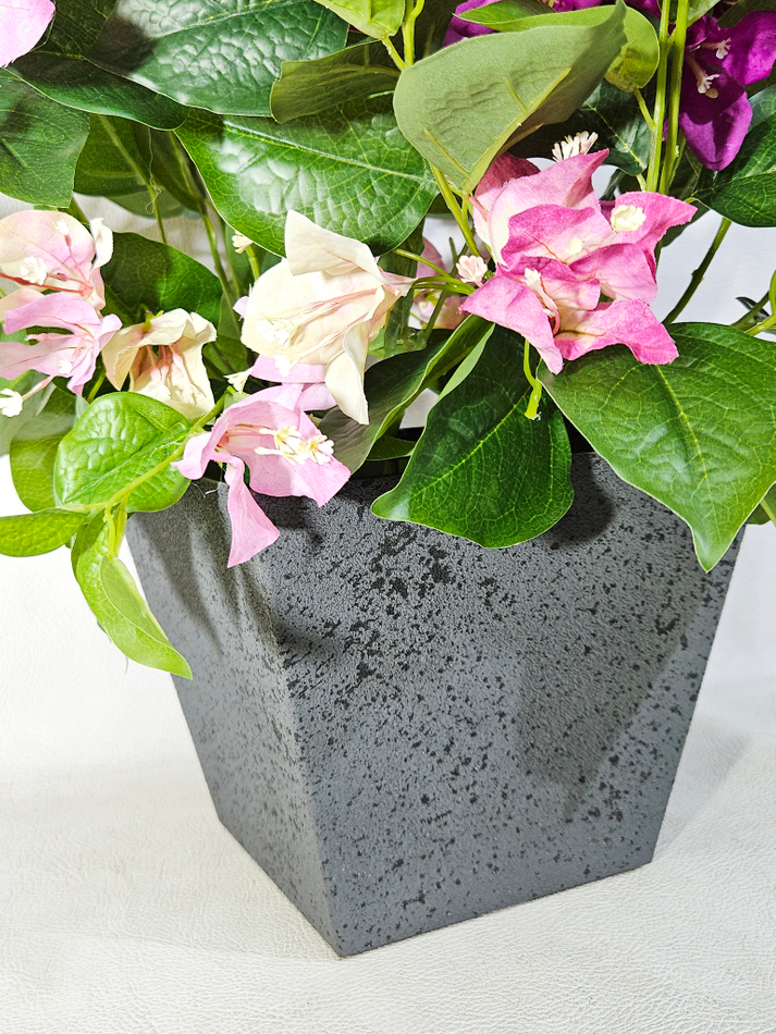 Бугенвиллия цветущая в кашпо Лофт Квадро