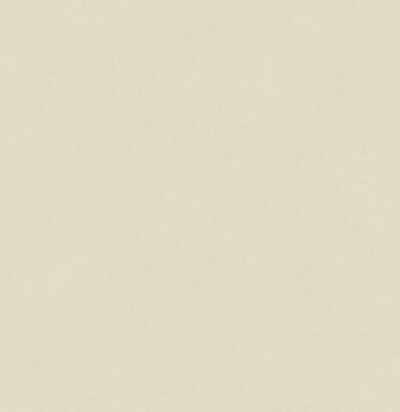 Обои матовые с иммитацией штукатурки BLONE1007