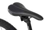 Maxiscoo 3BIKE 24'' M (2025)