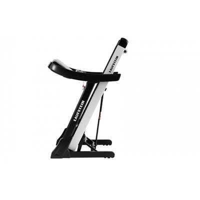 Беговая дорожка  Laufstein Enigma