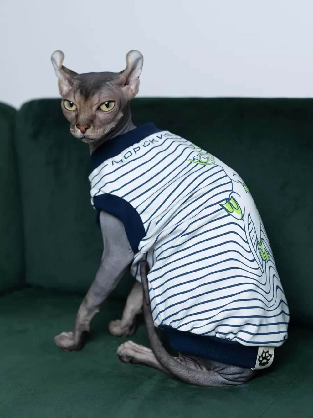 Одежда для сфинкса