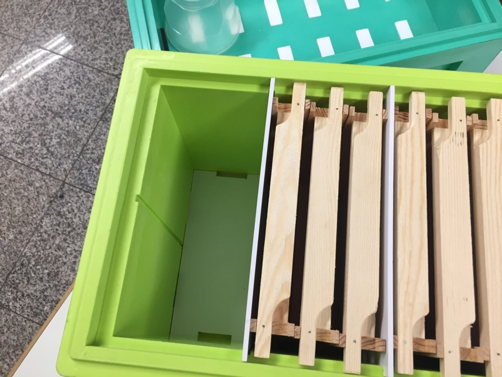 Нуклеус для облета маток 6 рамок (Магазин) с перфолистом