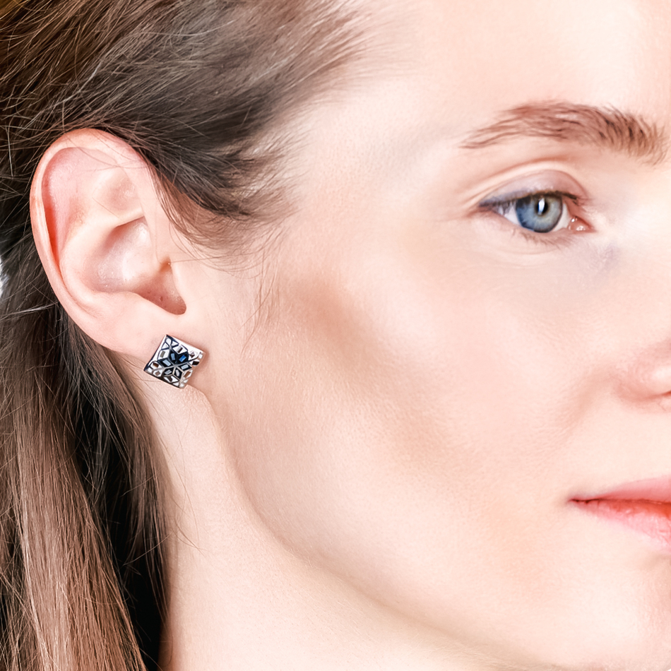 Серьги пусеты Fiore Luna AE13209-2